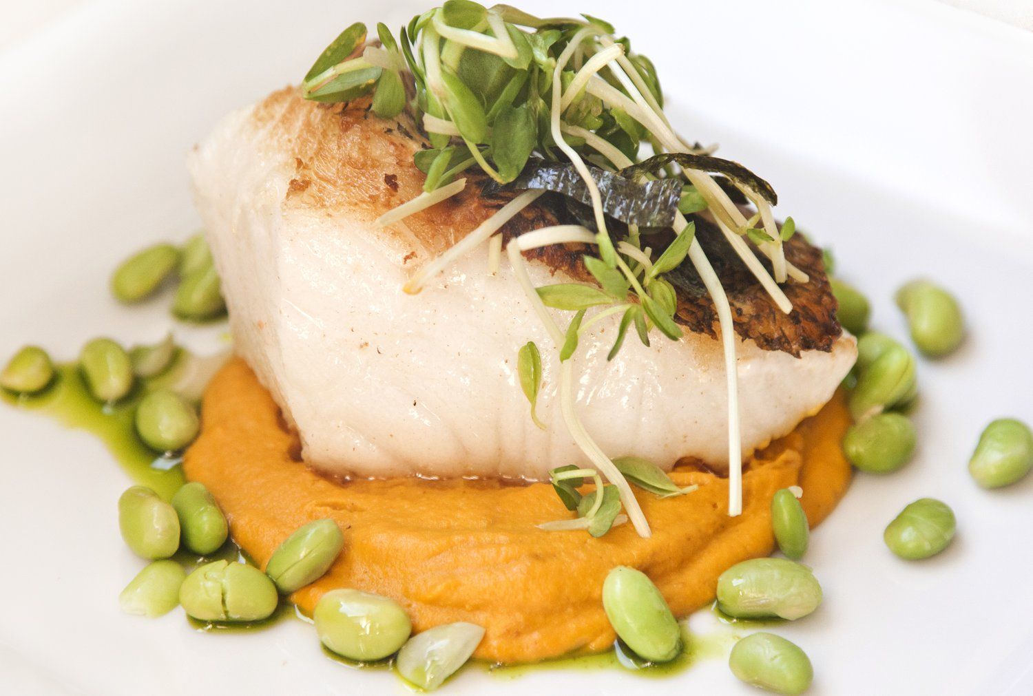 Asian Style Sea Bass with a Carrot Ginger Puree and Edamame